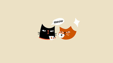 Cat Café Coffee Packaging: The Design Logic Behind Packaging Everyone Asks About