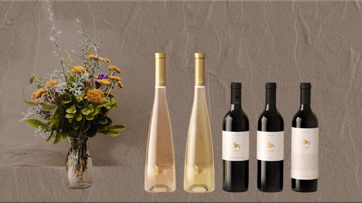 Elegant and Luxurious Solutions for Fine Wines