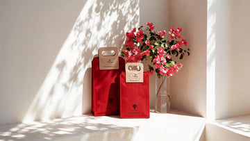 Handbag Wine Box: How Premium Packaging Redefines Wine Experiences