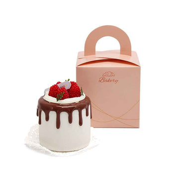Small Cake Box for Bakery Display and Takeaway | snfood